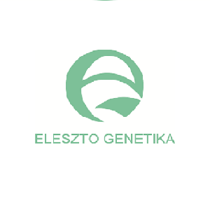 Eleszto Genetika